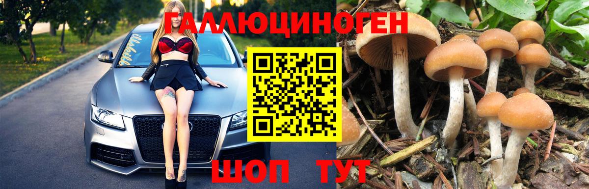Ликино-Дулёво  Галлюциногенные грибы Psilocybe  Псилоцибиновые грибы GOLDEN TEACHER  Вход с VPN 
